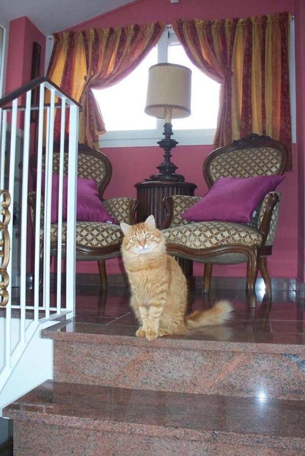 La Tana Del Tasso Ventimiglia Bed & Breakfast Dış mekan fotoğraf