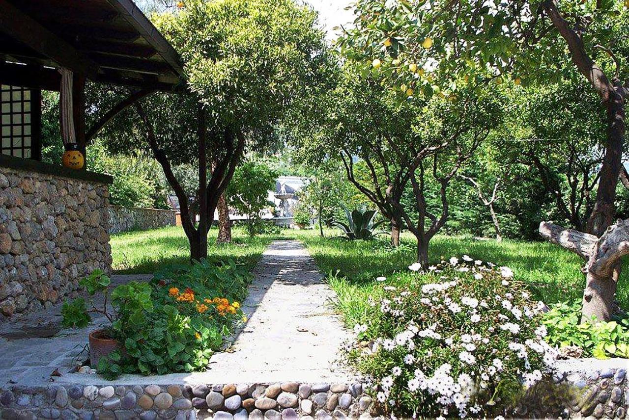 La Tana Del Tasso Ventimiglia Bed & Breakfast Dış mekan fotoğraf